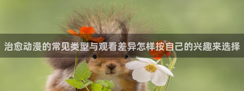 韩漫连载漫画：治愈动漫的常见类型与观看差异怎样按自己的兴趣来选择